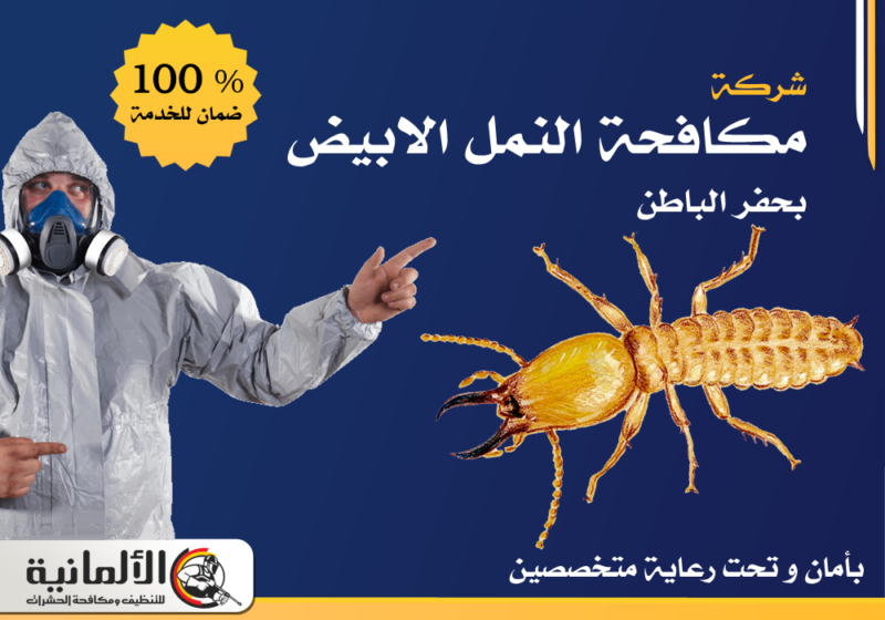 شركة مكافحة النمل الابيض بحفر الباطن | ابادة شاملة بخصم 25%
