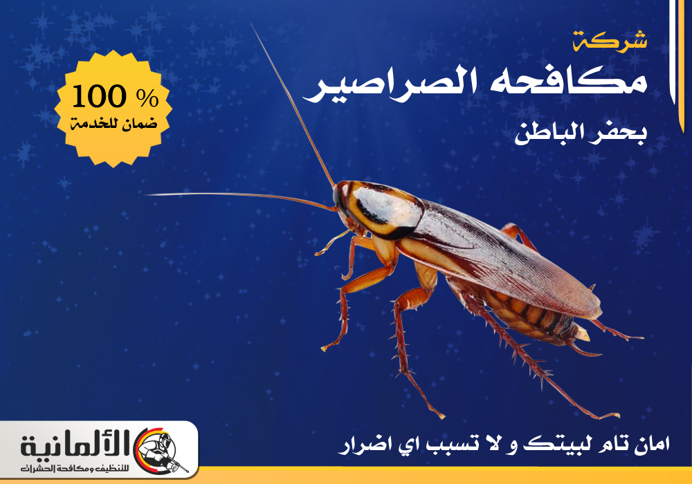 شركة مكافحة صراصير بحفر الباطن | | ابادة صراصير خصم 25%