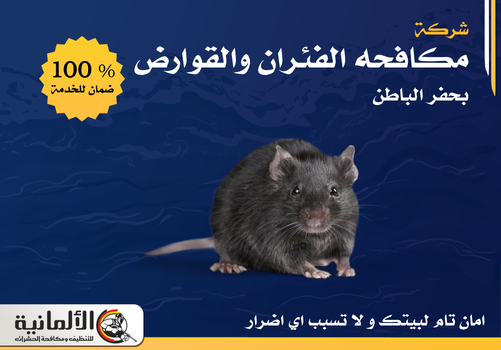 شركة مكافحة فئران بحفر الباطن | 0554922639 | ابادة شاملة بخصم 25%