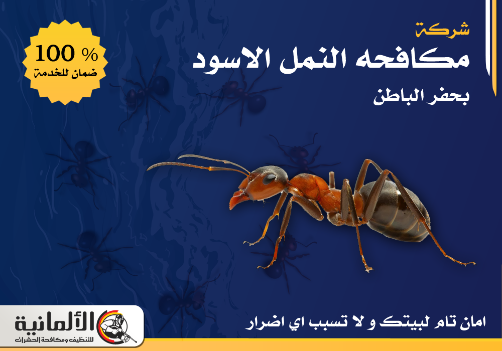 شركة مكافحة النمل الأسود بحفر الباطن