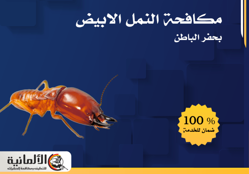 شركة مكافحة النمل الابيض بحفر الباطن