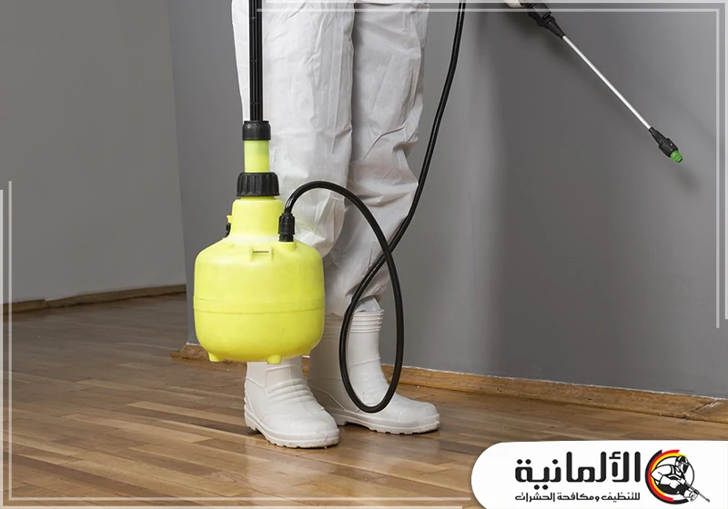 شركة مكافحة حشرات بالدمام