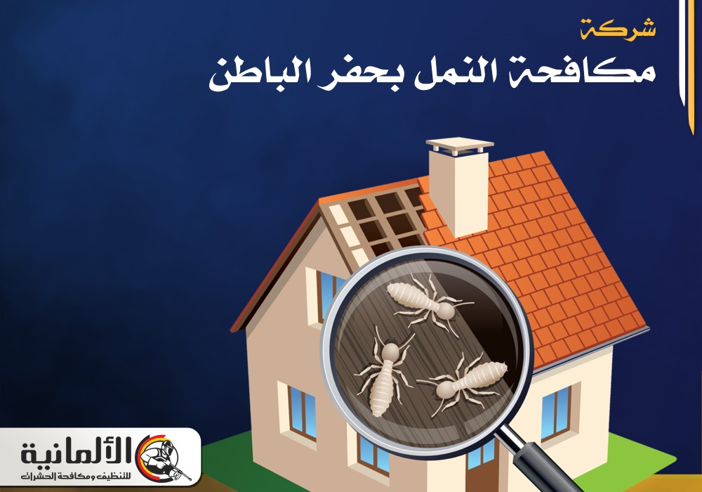 شركة مكافحة النمل بحفر الباطن | 0534050011 | ابادة نمل ابيض نمل اسود