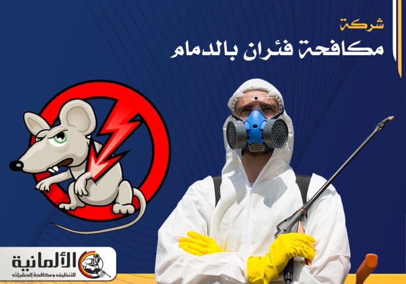 شركة مكافحة فئران بالدمام