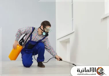 شركة مكافحة حشرات بخميس مشيط