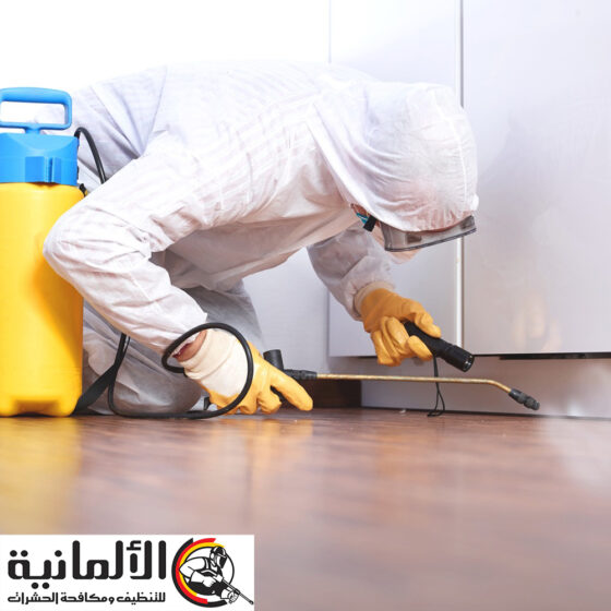 شركة مكافحة النمل الابيض بخميس مشيط | 0545284553 | ابادة الأرضة