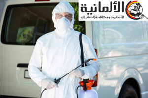 شركة مكافحة فئران بخميس مشيط | 0545284553 | ابادة الجرذان