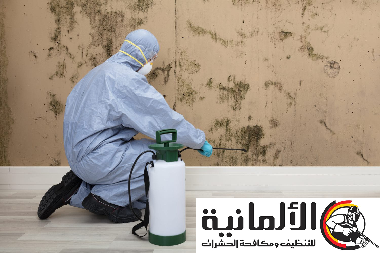 شركة مكافحة حشرات بدومة الجندل | 0535904964 | ابادة حشرات وقوارض