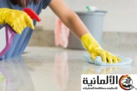 شركة تنظيف بابها