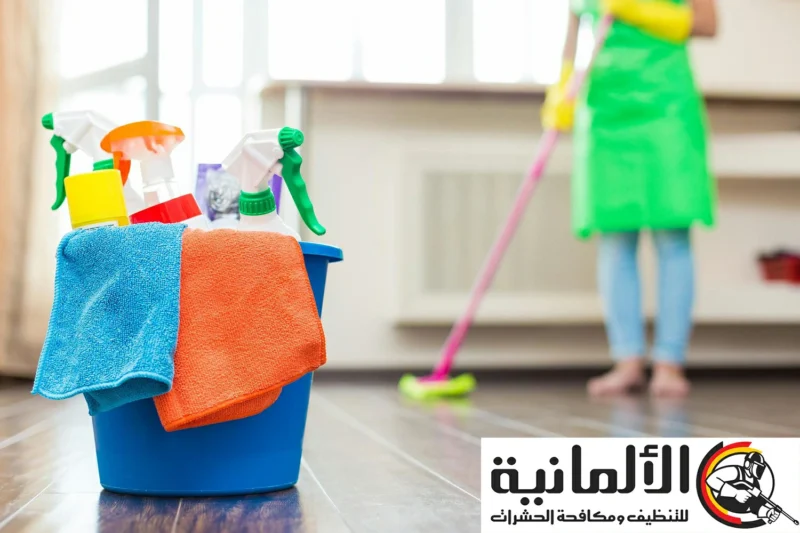 شركة تنظيف بابها