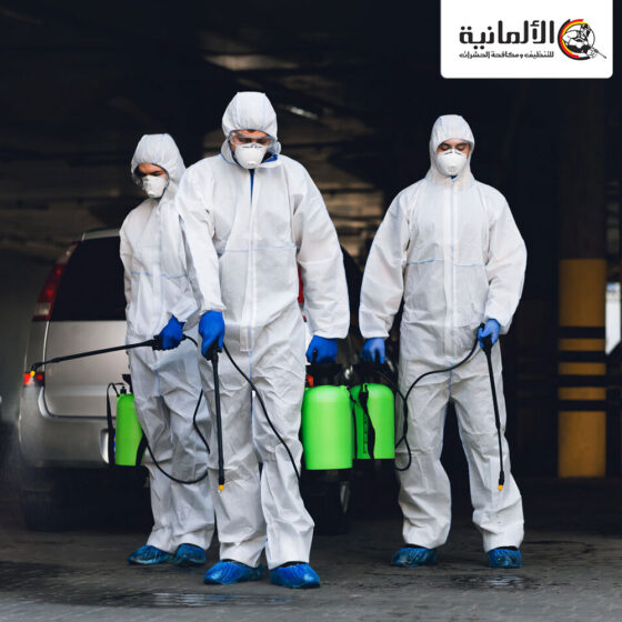 شركة تعقيم بالدمام | 0556808022